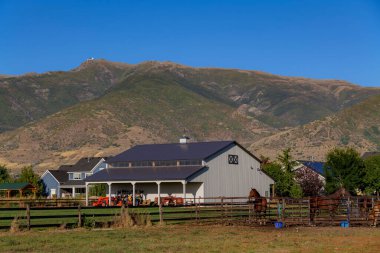 Çiftlikte duran Bay Horse, çayırda demiryolu çitleri, arka planda dağ manzarası. Yüksek kaliteli fotoğraf.