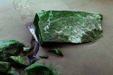 Hudson Nehri 'nde yosunlu kaya, arka plan fotoğrafı. Yüksek kalite fotoğraf