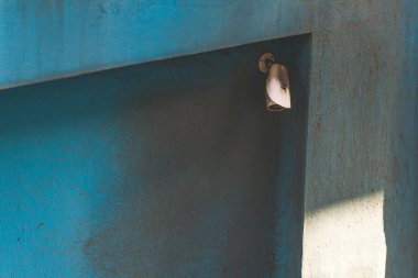 Eski kirli mavi beton bina duvarına monte edilmiş güvenlik kamerası sistemi 