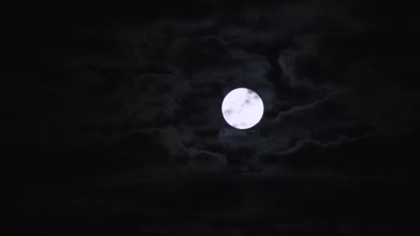 満月は暗い曇天で 見えない星はありません 小型カメラの手ぶれで — ストック動画