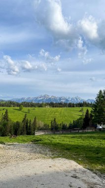 Resimli bahar dağ manzarası