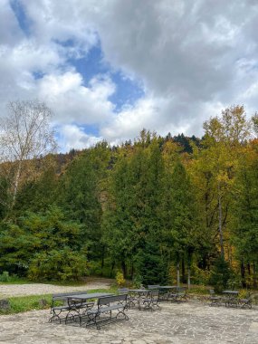 Doğanın güzel manzarası