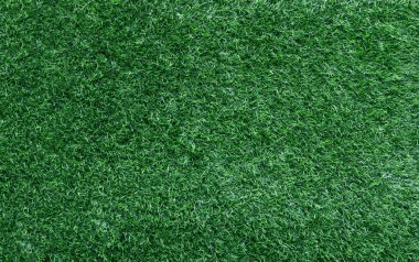 Green grass texture background grass garden concept used for making green background football pitch, Grass Golf, green lawn pattern textured background.	