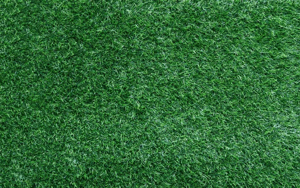 Green Grass Texture Background Grass Garden Concept Used Making Green — 图库照片