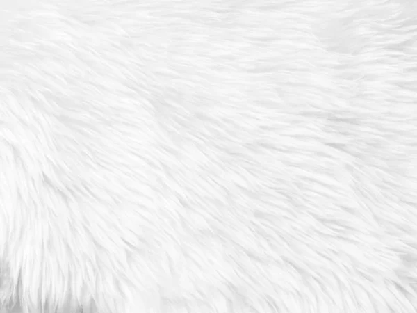 White Clean Wool Texture Background Light Natural Sheep Wool White — Foto Stock