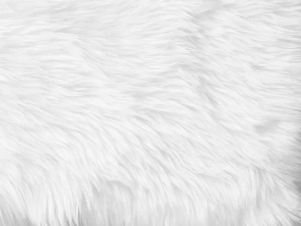 White Clean Wool Texture Background Light Natural Sheep Wool White — стокове фото