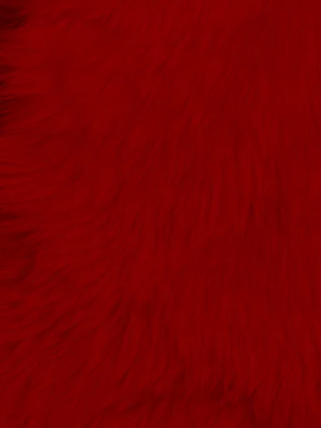 Red Clean Wool Texture Background Light Natural Sheep Wool Red — стоковое фото