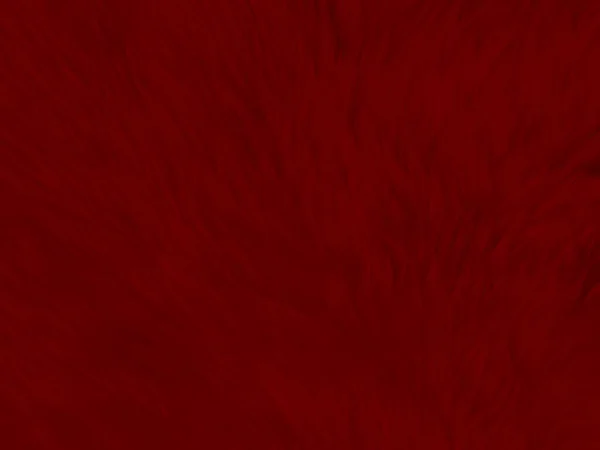 Red Clean Wool Texture Background Light Natural Sheep Wool Red — 스톡 사진