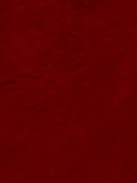 Red Clean Wool Texture Background Light Natural Sheep Wool Red — 스톡 사진