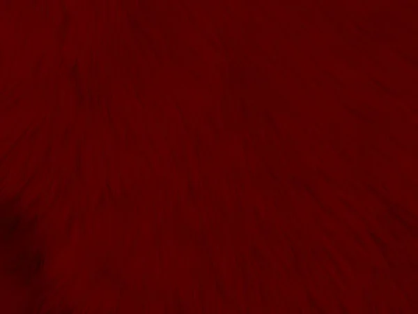 Red Clean Wool Texture Background Light Natural Sheep Wool Red — Photo