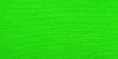 green velvet fabric texture used as background. Empty green fabric background of soft and smooth textile material. There is space for text..	
