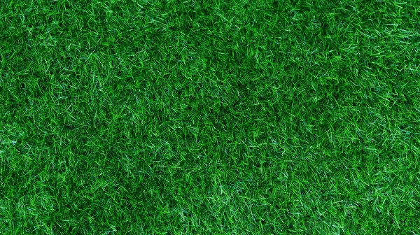 Green Grass Texture Background Grass Garden Concept Used Making Green — Stock fotografie