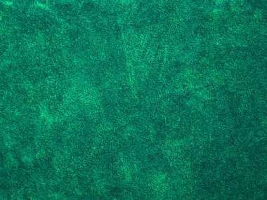 green velvet fabric texture used as background. Empty green fabric background of soft and smooth textile material. There is space for text..	
