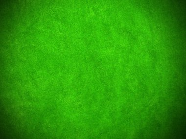 green velvet fabric texture used as background. Empty green fabric background of soft and smooth textile material. There is space for text..	