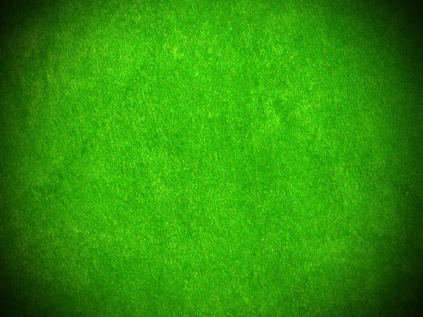 green velvet fabric texture used as background. Empty green fabric background of soft and smooth textile material. There is space for text..	