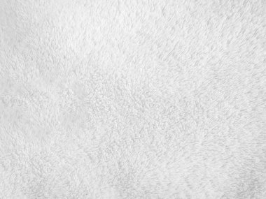 White clean wool texture background. light natural sheep wool. white seamless cotton. texture of fluffy fur for designers. close-up fragment white wool carpet.	