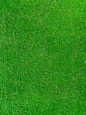 Green grass texture background grass garden concept used for making green background football pitch, Grass Golf, green lawn pattern textured background.	
