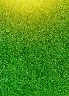 Green grass texture background grass garden concept used for making green background football pitch, Grass Golf, green lawn pattern textured background.	