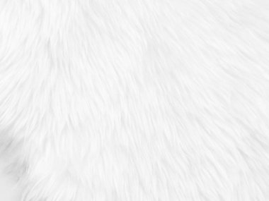 White clean wool texture background. light natural sheep wool. white seamless cotton. texture of fluffy fur for designers. close-up fragment white wool carpet.	