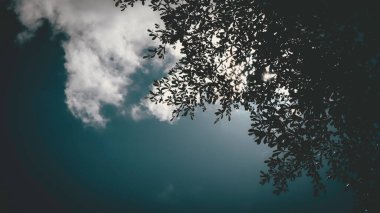 Güzel gün batımı gökyüzü doğa gökyüzü