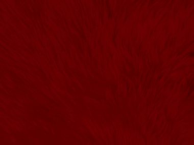 red clean wool texture background. light natural sheep wool. red seamless cotton. texture of fluffy fur for designers. close-up fragment chrismas wool carpet.	