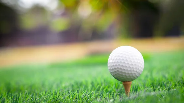 Golf Ball Close Tee Grass Blurred Beautiful Landscape Golf Background — Φωτογραφία Αρχείου