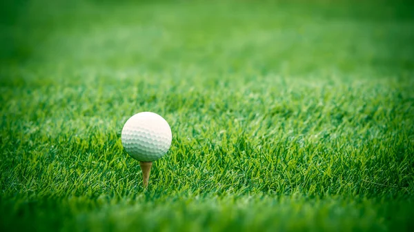 Golf Ball Close Tee Grass Blurred Beautiful Landscape Golf Background — Stock Photo, Image