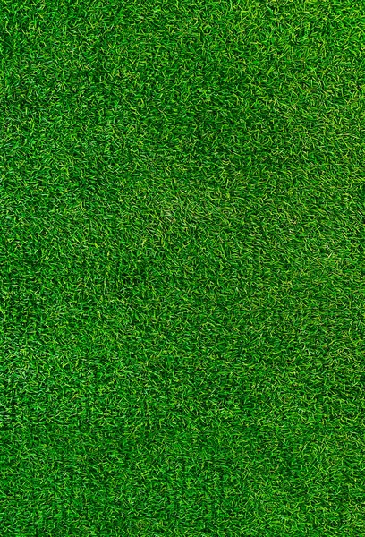 Green Grass Texture Background Grass Garden Concept Used Making Green —  Fotos de Stock