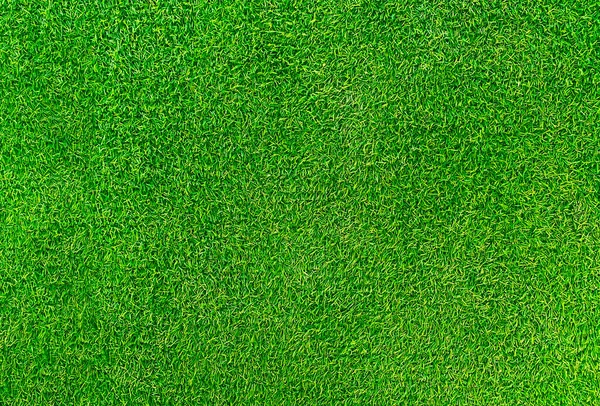 Green Grass Texture Background Grass Garden Concept Used Making Green — Φωτογραφία Αρχείου