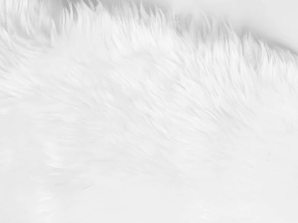 White Clean Wool Texture Background Light Natural Sheep Wool White — Fotografia de Stock