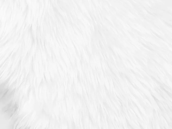 White Clean Wool Texture Background Light Natural Sheep Wool White — Zdjęcie stockowe