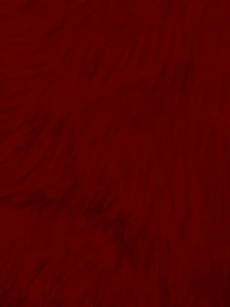 Red Clean Wool Texture Background Light Natural Sheep Wool Red — Stock Fotó