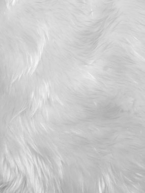 White clean wool texture background. light natural sheep wool. white seamless cotton. texture of fluffy fur for designers. close-up fragment white wool carpet.	