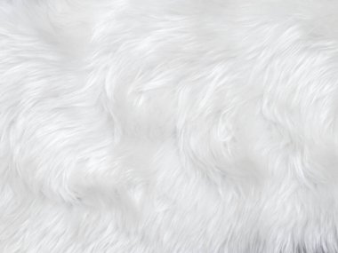 White clean wool texture background. light natural sheep wool. white seamless cotton. texture of fluffy fur for designers. close-up fragment white wool carpet.	