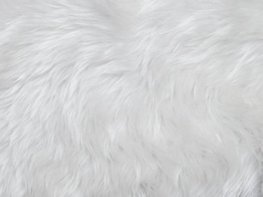 White clean wool texture background. light natural sheep wool. white seamless cotton. texture of fluffy fur for designers. close-up fragment white wool carpet.	