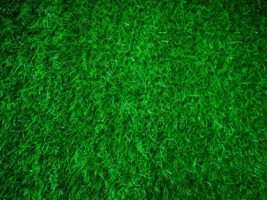 Green grass texture background grass garden concept used for making green background football pitch, Grass Golf, green lawn pattern textured background..	