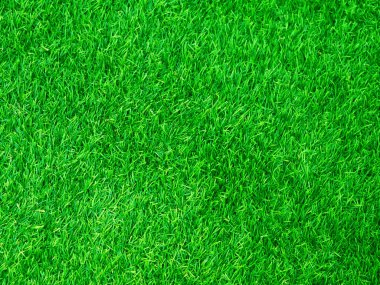 Green grass texture background grass garden concept used for making green background football pitch, Grass Golf, green lawn pattern textured background.	