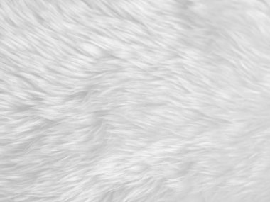 White clean wool texture background. light natural sheep wool. white seamless cotton. texture of fluffy fur for designers. close-up fragment white wool carpet...	