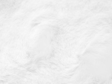 White clean wool texture background. light natural sheep wool. white seamless cotton. texture of fluffy fur for designers. close-up fragment white wool carpet...	