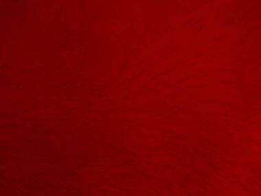 Kırmızı, temiz yün dokusu arka plan. Hafif doğal koyun yünü. Kırmızı, dikişsiz pamuk. Tasarımcılar için tüylü kürk dokusu. yakın plan beyaz yün halı...