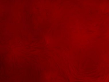 Kırmızı, temiz yün dokusu arka plan. Hafif doğal koyun yünü. Kırmızı, dikişsiz pamuk. Tasarımcılar için tüylü kürk dokusu. yakın plan beyaz yün halı...