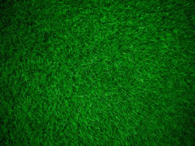 Green grass texture background grass garden concept used for making green background football pitch, Grass Golf, green lawn pattern textured background.	