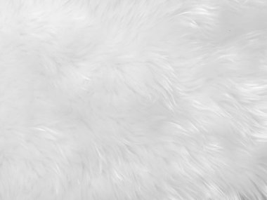Beyaz, temiz yün dokusu arka planda. hafif doğal koyun yünü. Beyaz, pürüzsüz pamuk. Tasarımcılar için tüylü kürk dokusu. yakın plan beyaz yün halı..