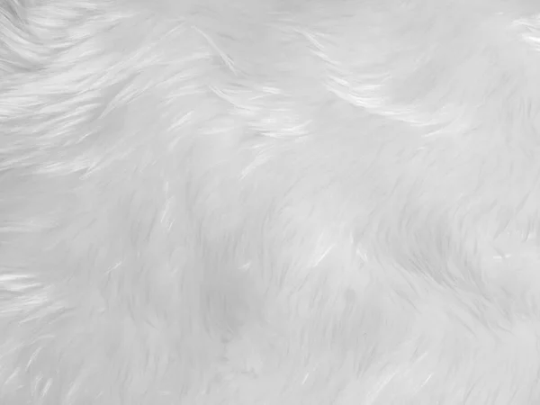 White Clean Wool Texture Background Light Natural Sheep Wool White —  Fotos de Stock