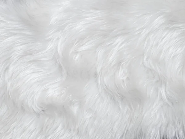 White Clean Wool Texture Background Light Natural Sheep Wool White — Photo