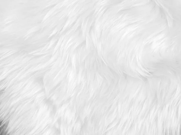 White Clean Wool Texture Background Light Natural Sheep Wool White — Zdjęcie stockowe