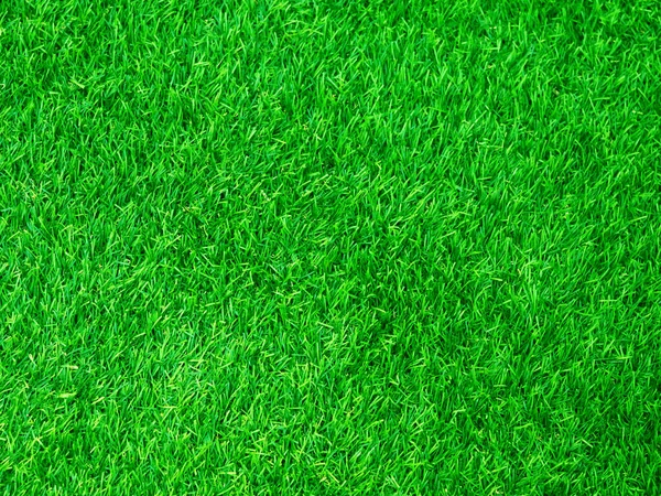 Green Grass Texture Background Grass Garden Concept Used Making Green — Φωτογραφία Αρχείου