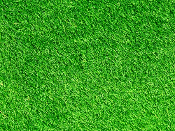 Green Grass Texture Background Grass Garden Concept Used Making Green — Fotografia de Stock