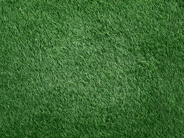 Green Grass Texture Background Grass Garden Concept Used Making Green — стокове фото