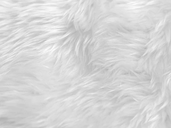 White Clean Wool Texture Background Light Natural Sheep Wool White — 图库照片